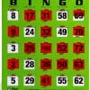 Cartones de Bingo Regal con Ventanas Deslizantes - Verde