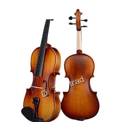 Violín D Z Strad Modelo 100 con estuche, arco,
