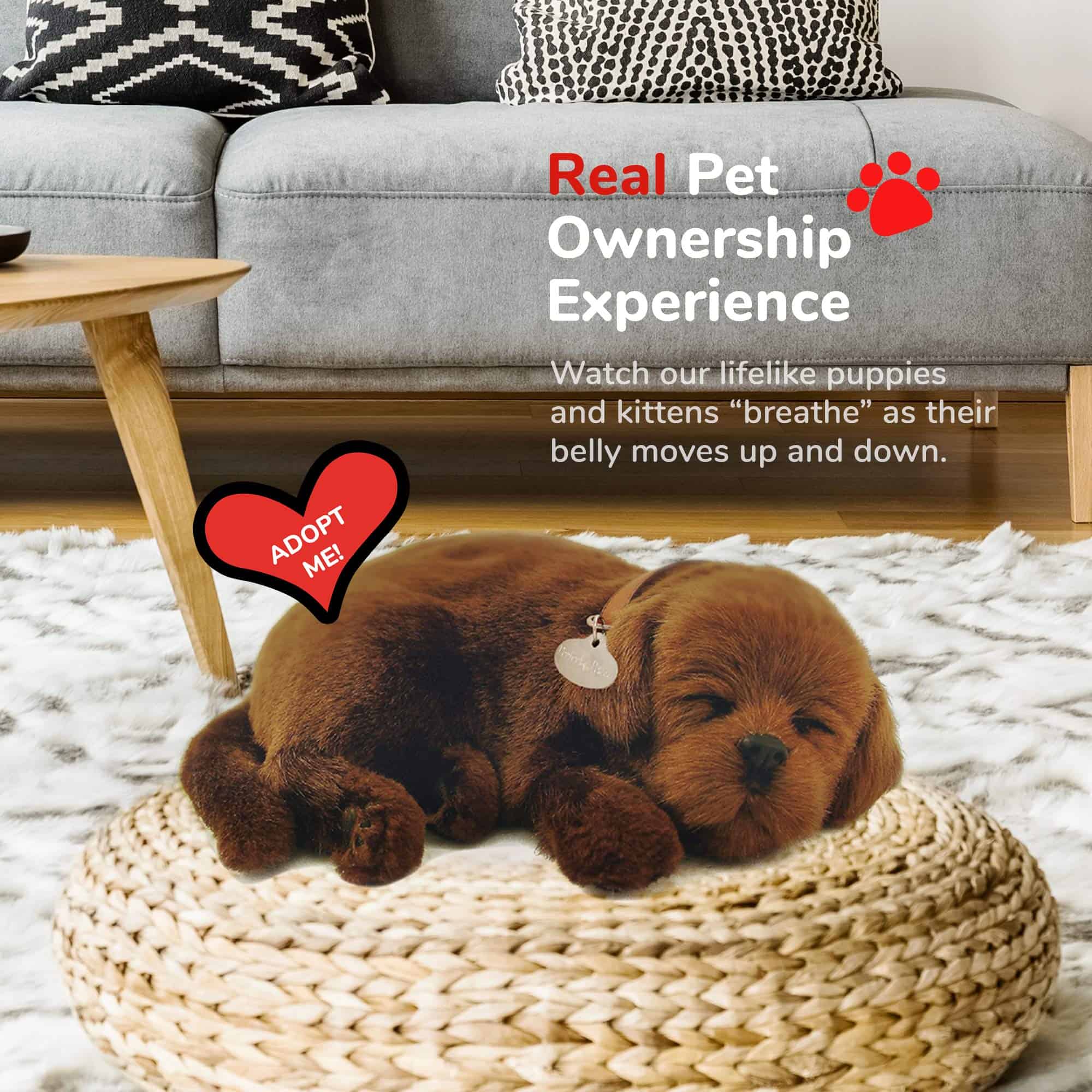 Perfect Petzzz - Chocolate Lab Original Petzzz, Juguete de - Imagen 5