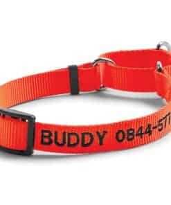 Collar Martingale para Perros Orvis, Naranja Resplandor -
