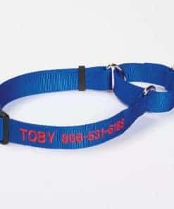 Collar Martingale para Perro Orvis, Azul - Grande