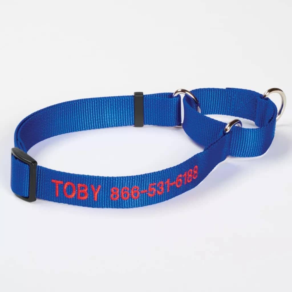 Collar Martingale Personalizado para Perros Orvis, Azul -