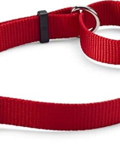 Collar Martingale para Perros Orvis, Rojo - Grande