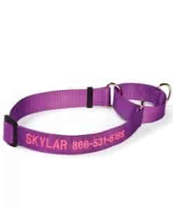 Collar Martingale para Perros Orvis, Orquídea - Mediano