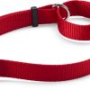 Collar Martingala Rojo para Perros Orvis - Mediano