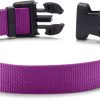 Collar Ajustable para Perros Orvis, Orquídea - Mediano