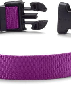 Collar Ajustable para Perros Orvis, Orquídea - Mediano