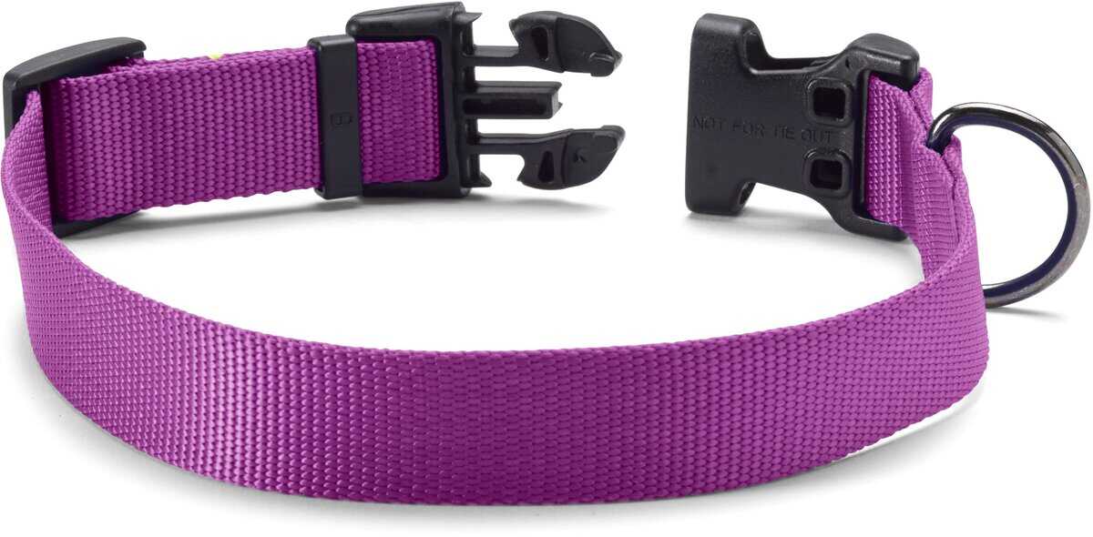 Collar Ajustable para Perros Orvis, Orquídea - Mediano