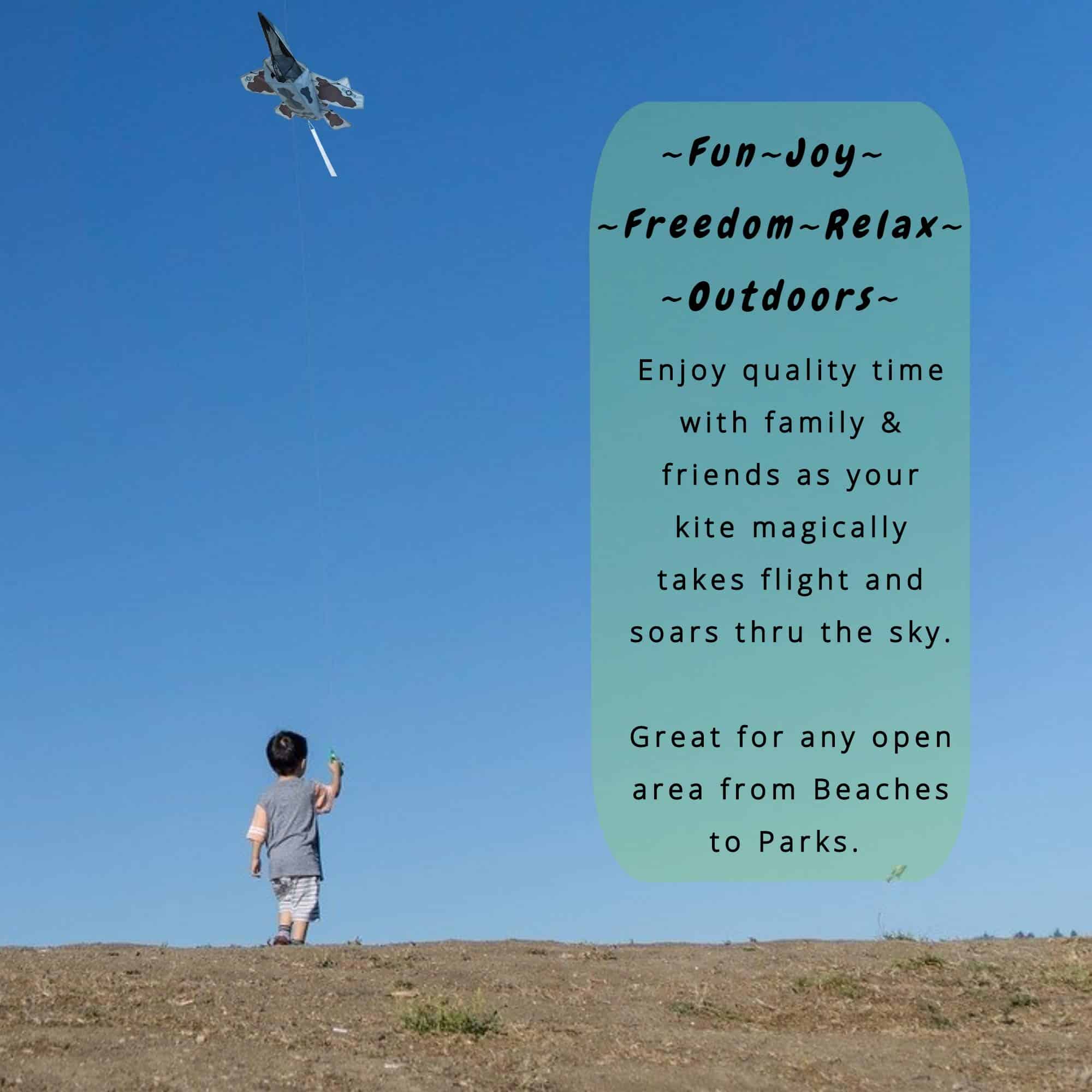 Cometa 3D Jet Stealth Attack Design de Premier Kites | - Imagen 3