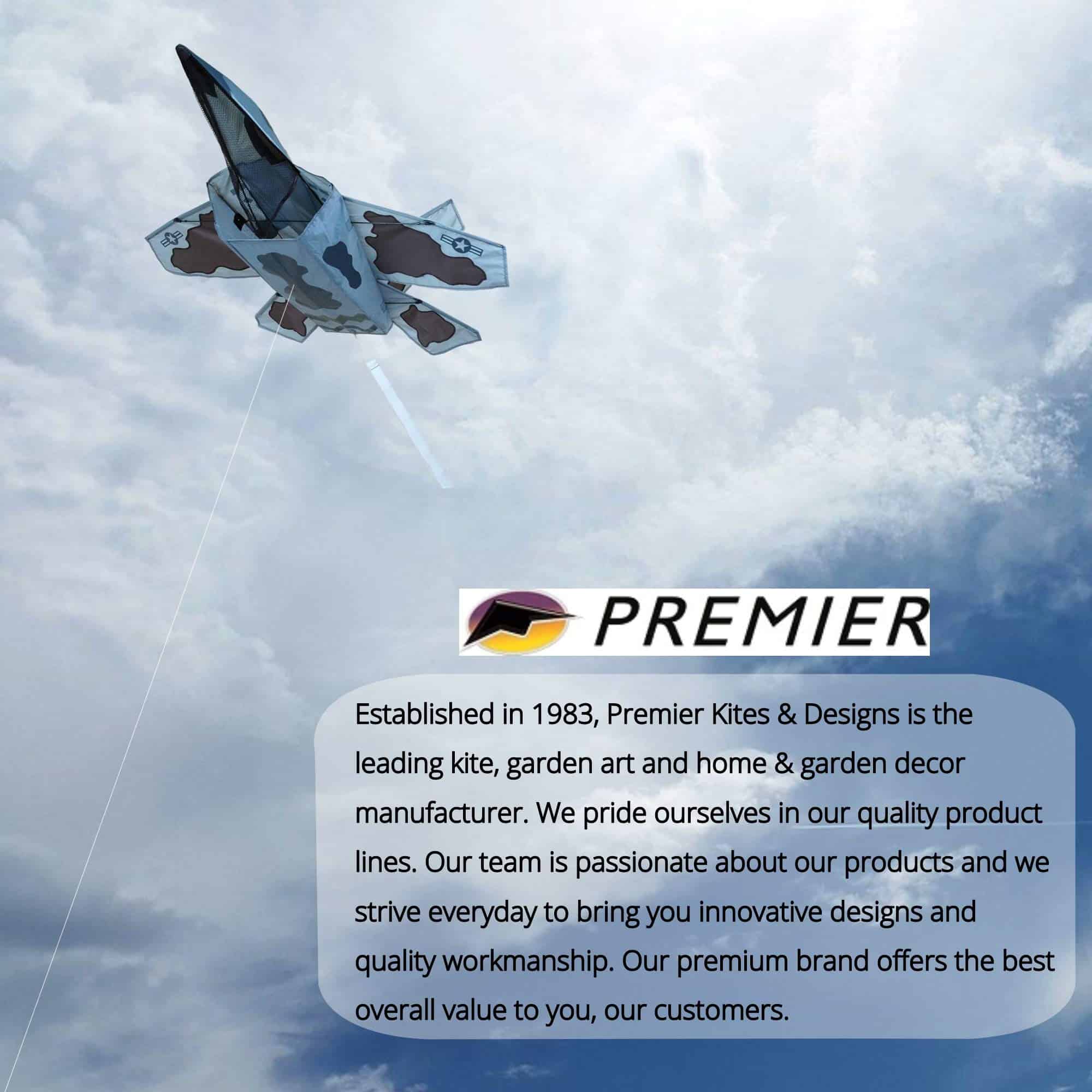 Cometa 3D Jet Stealth Attack Design de Premier Kites | - Imagen 9