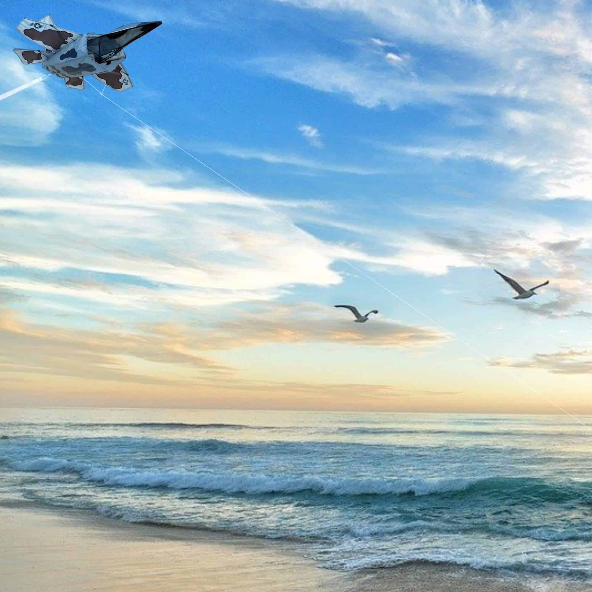 Cometa 3D Jet Stealth Attack Design de Premier Kites | - Imagen 7