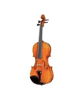 Violín D Z Strad Modelo 365 4/4 Tamaño Completo con Tono