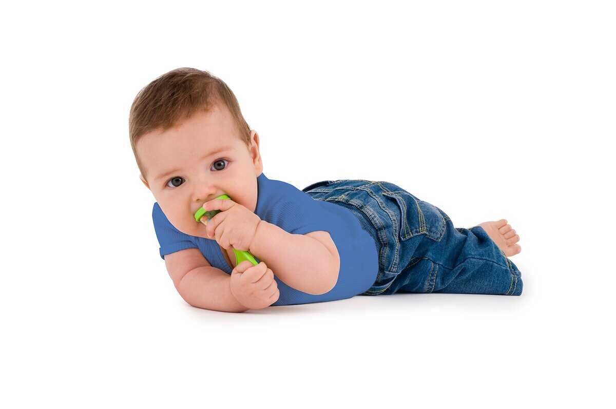 Set de Carnaval Musical para Niños Pequeños de Edushape - Imagen 7