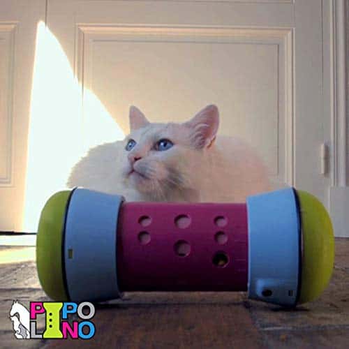 Pipolino-M - Dispensador de Comida Seca Móvil y Ajustable - - Imagen 3