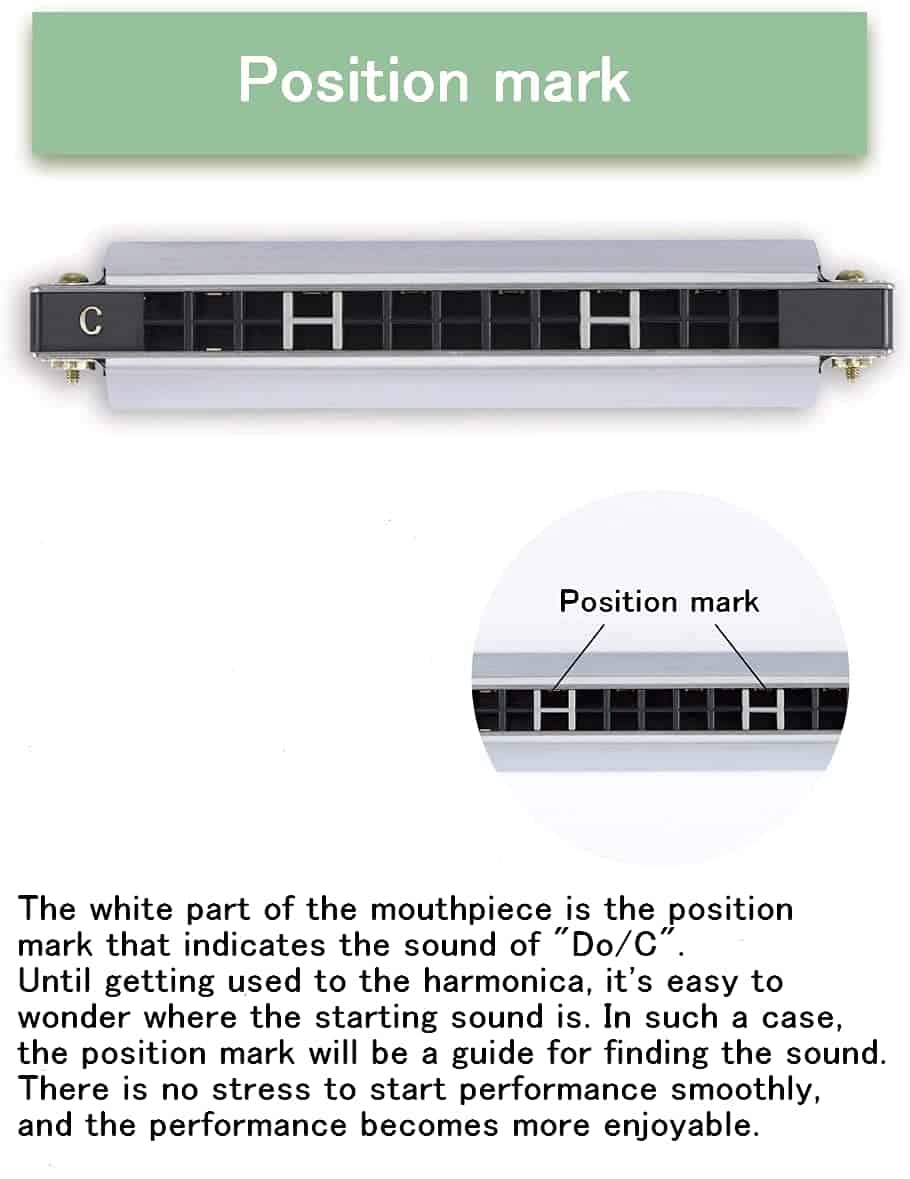 Armonica de 13 Orificios de Tremolo en Llave de AM - Plata - Imagen 6