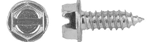 1000 Tornillos para Placas de Matrícula 1/4" (#14) X 3/4"