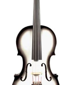 Violín eléctrico-acústico Barcus Berry BAR-AET serie