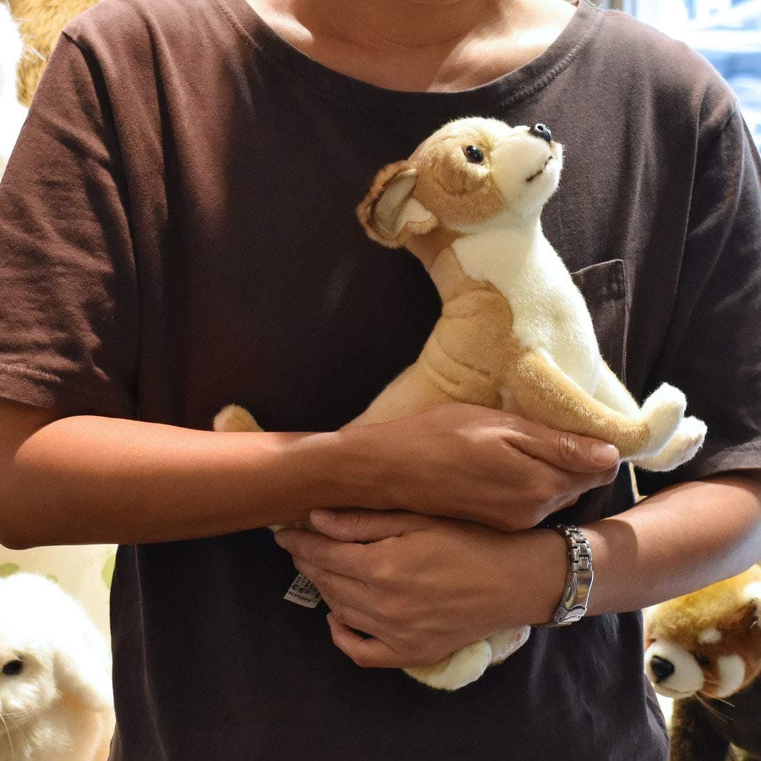 Juguete de Peluche Hansa - Cachorro Chihuahua - Imagen 9