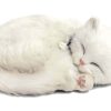 Peluche de gato Perfect Petzzz 4934 - Blanco