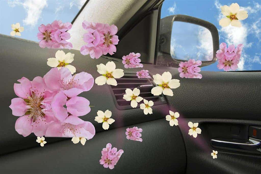 Eliminador de Olores CARPRO SO2Pure 2.0 - Neutraliza Malos - Imagen 9