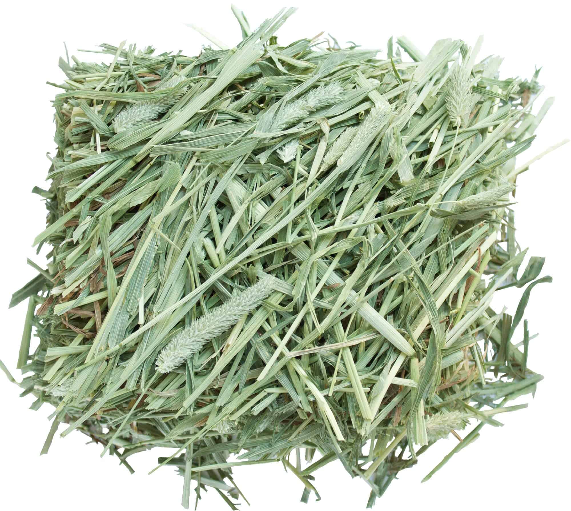 Heno de Timothy Western BRYTIN - Conejos, Chinchillas, - Imagen 3