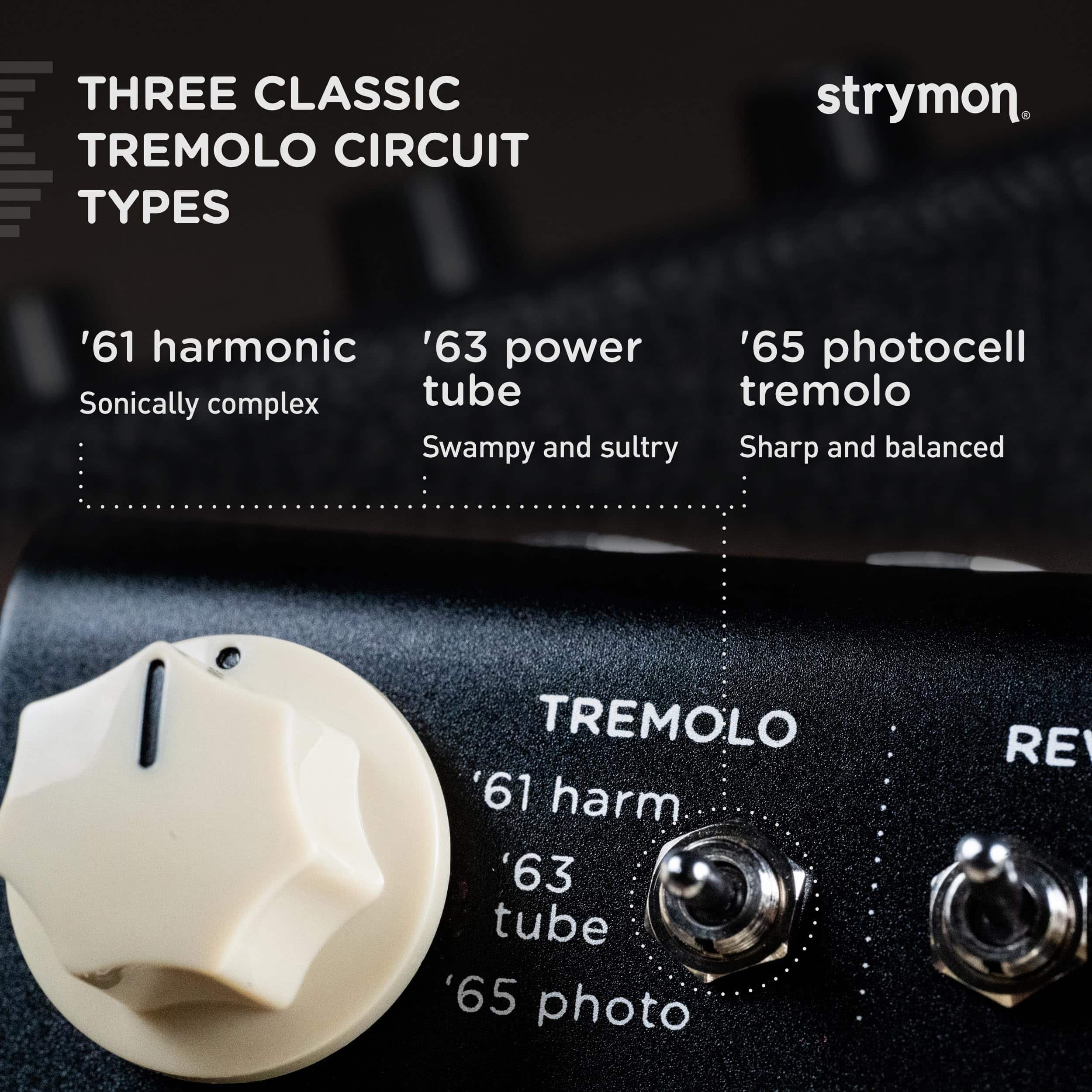 Pedal de Efectos para Guitarra Strymon Flint V2 Tremolo y - Imagen 4