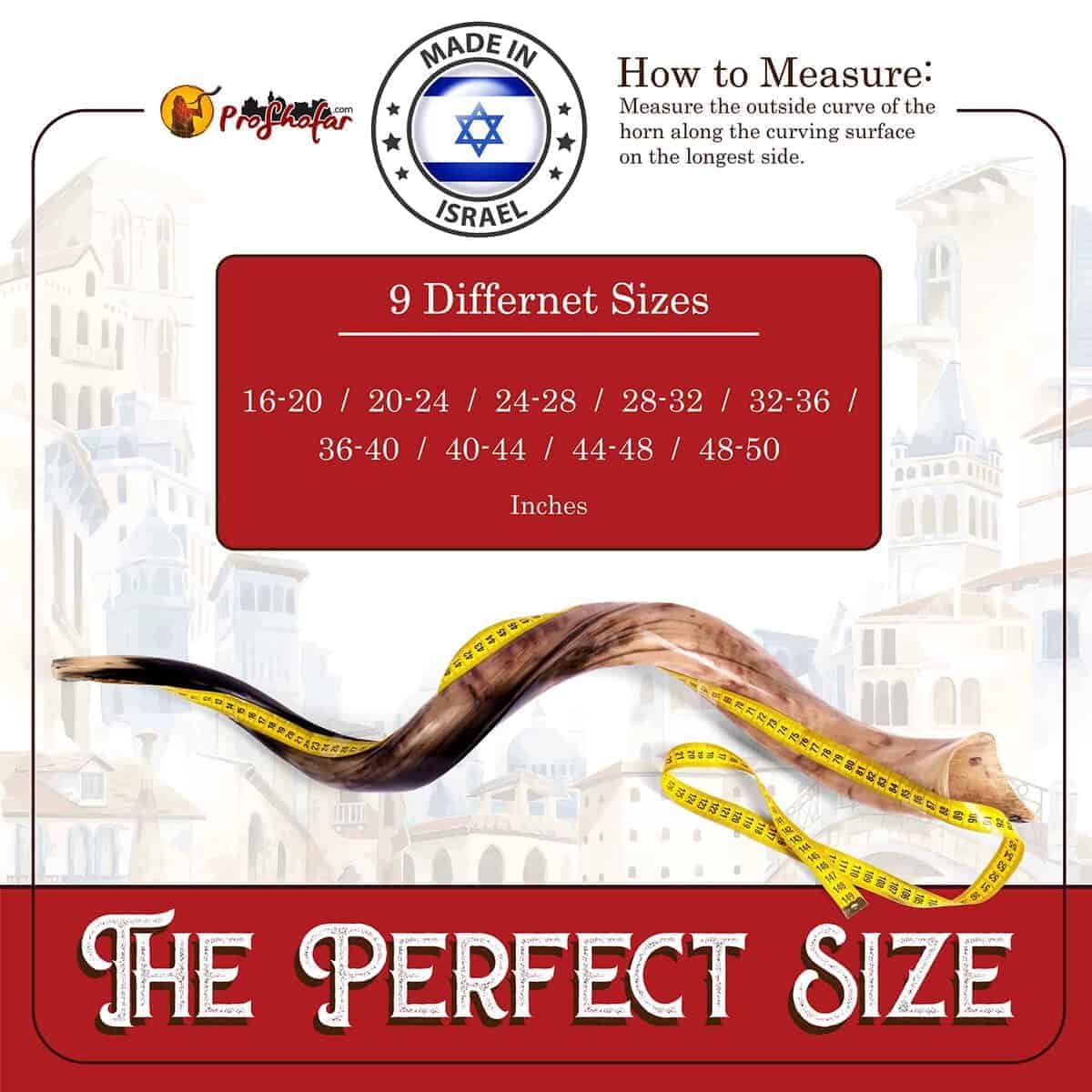 Set de Shofar Kosher totalmente pulido de Israel, Cuerno de - Imagen 4