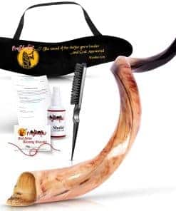 Set de Shofar Kosher totalmente pulido de Israel, Cuerno de