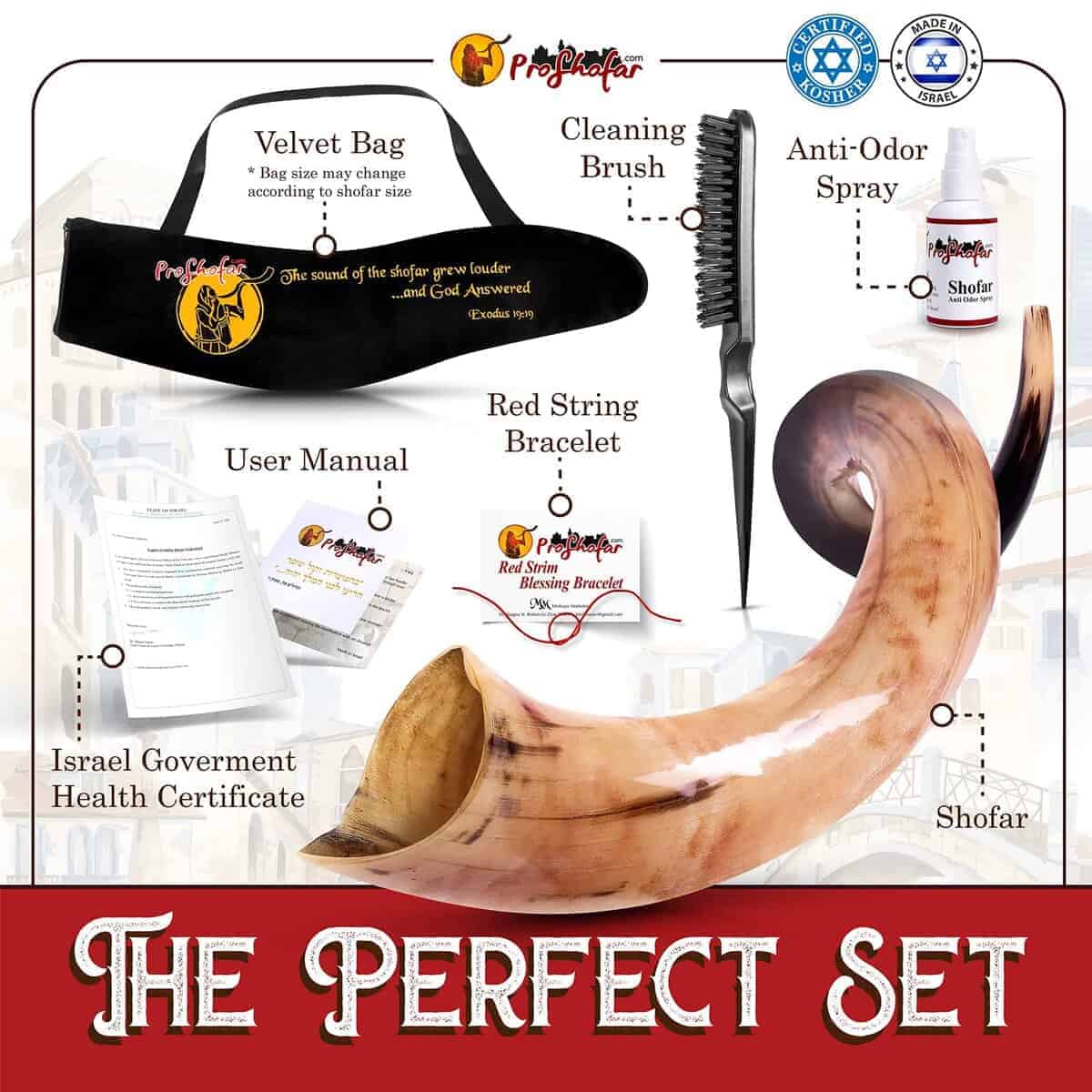 Set de Shofar Kosher totalmente pulido de Israel, Cuerno de - Imagen 3
