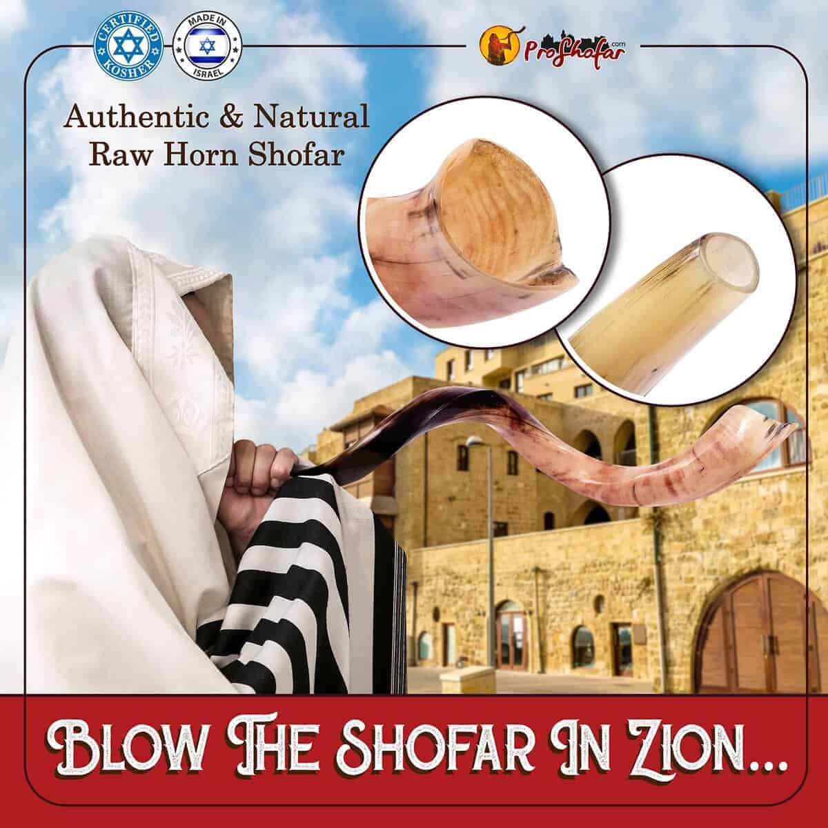 Set de Shofar Kosher totalmente pulido de Israel, Cuerno de - Imagen 5