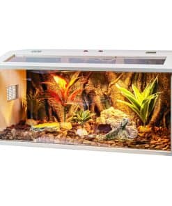 Terrario Reptil Prolee de 28 Galones Grande, Tanque para
