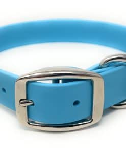 Collar para Perros Impermeable Mediano Azul Claro de Regal