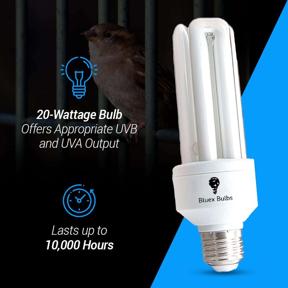 Lámpara Aviar Bluex Bulbs Reptil 20W UVB 2.4 CFL SKU 120 - - Imagen 4