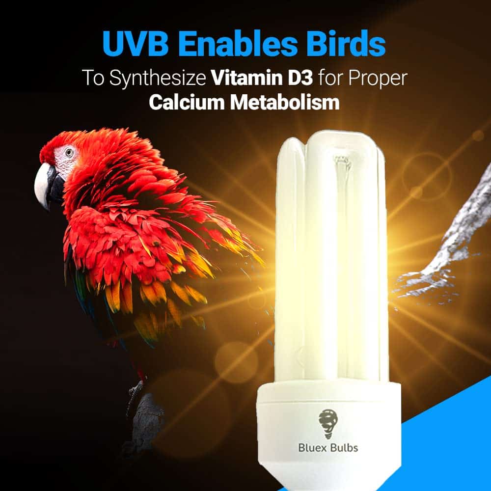 Lámpara Aviar Bluex Bulbs Reptil 20W UVB 2.4 CFL SKU 120 - - Imagen 5