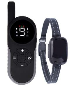 Collar Remoto GoodBoy para Perros con Modos de