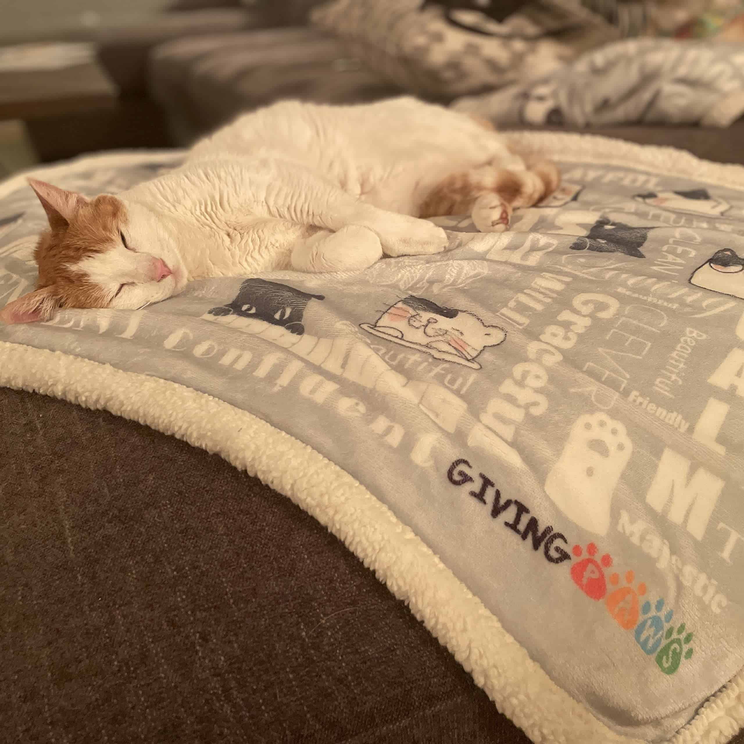 Manta de Gato de Sherpa - Ayuda a Mascotas sin Hogar - - Imagen 8