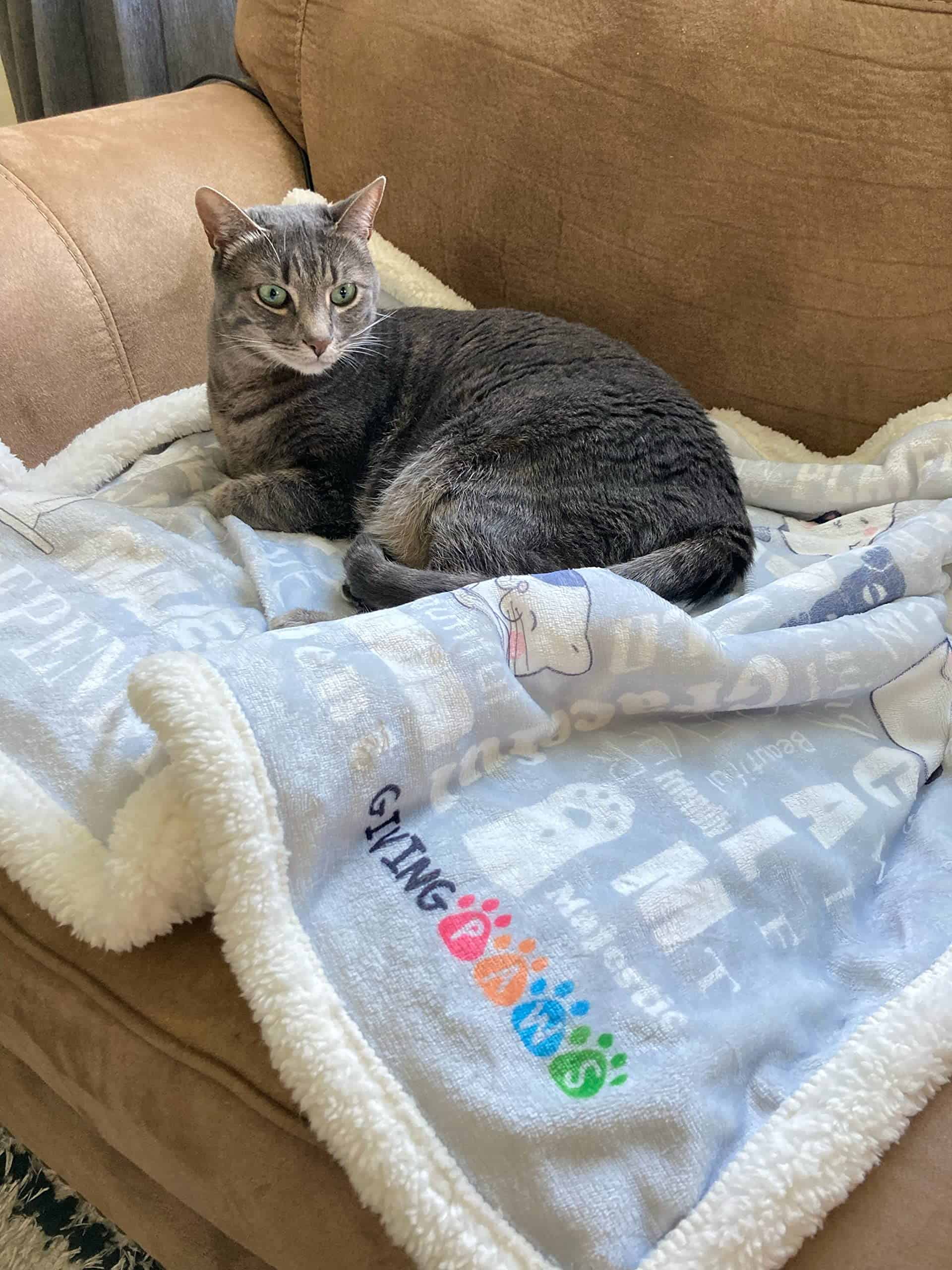 Manta de Gato de Sherpa - Ayuda a Mascotas sin Hogar - - Imagen 7