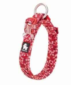 Collar para Perro Chai's Choice Grande (Floral Rojo) |