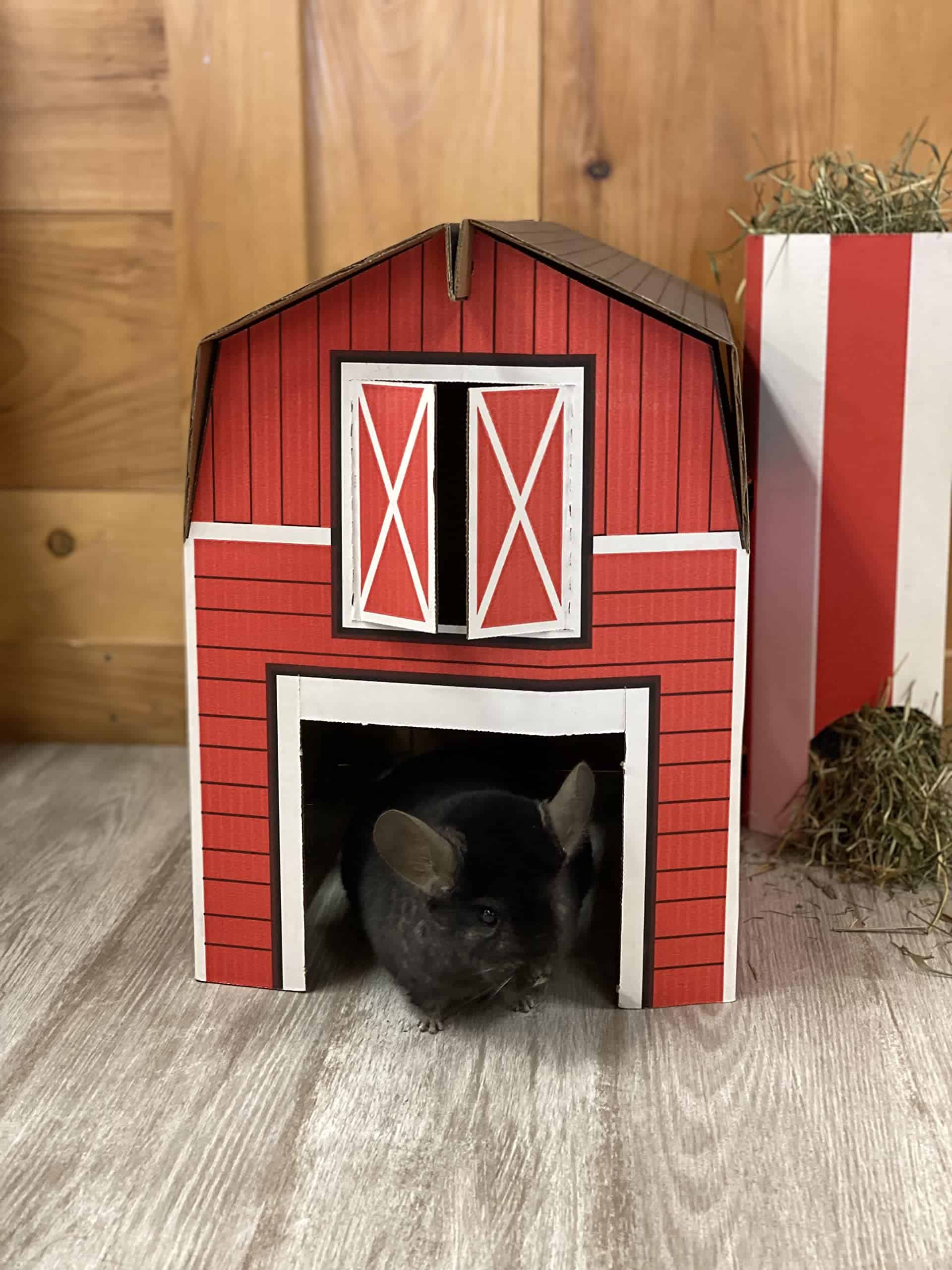 Casa para Mascotas Buddy Barn - Imagen 8