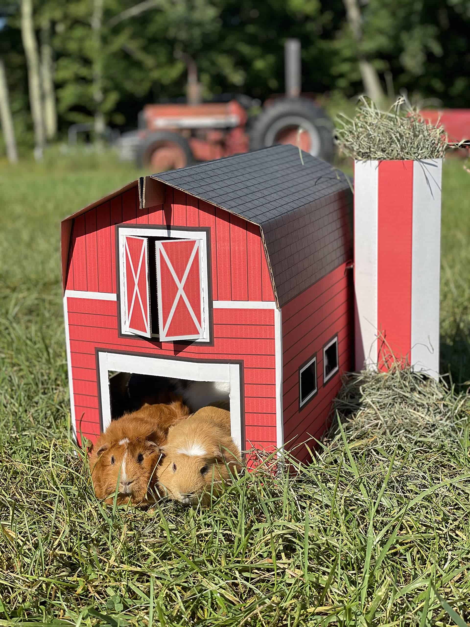 Casa para Mascotas Buddy Barn - Imagen 3