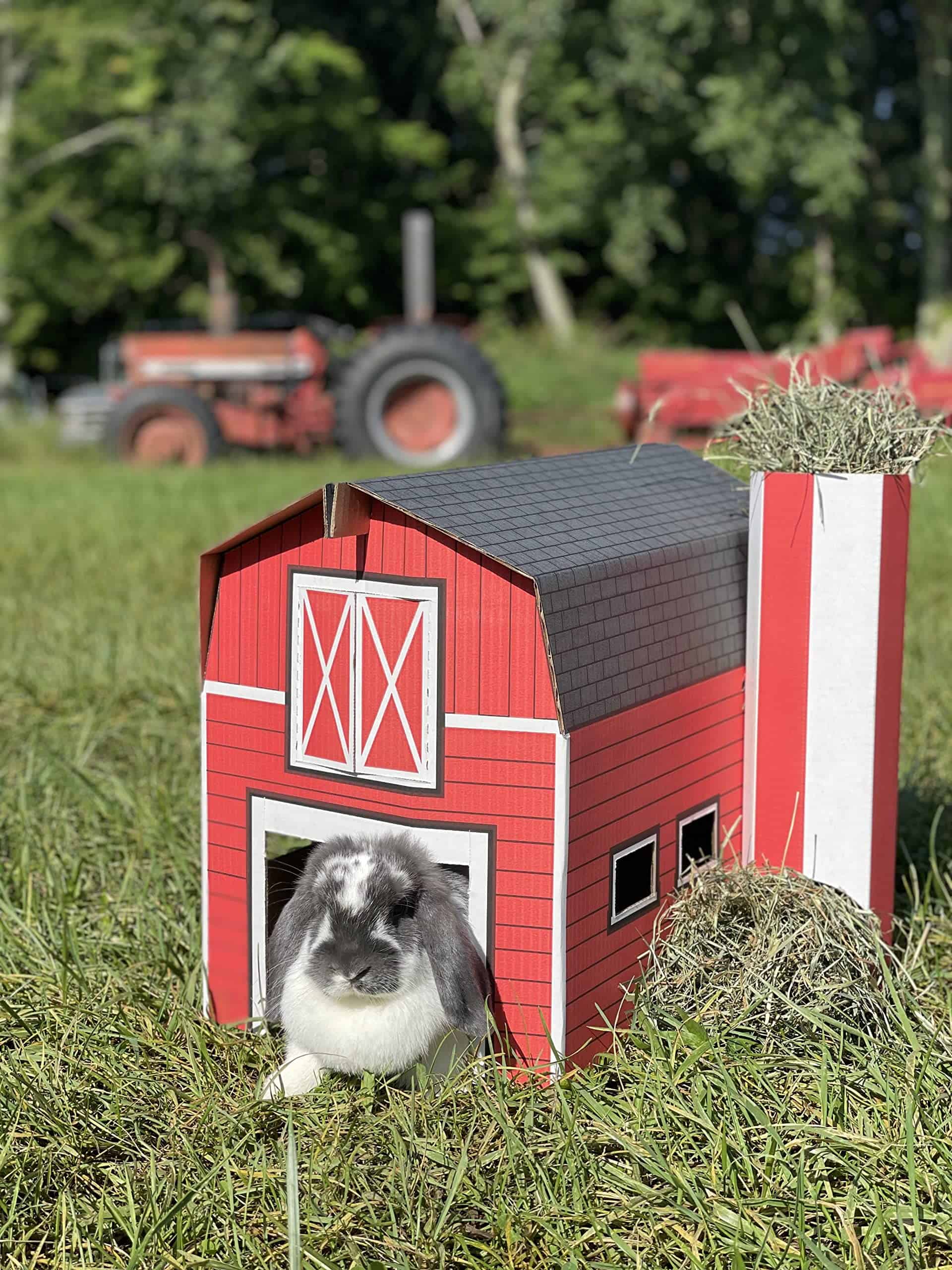 Casa para Mascotas Buddy Barn - Imagen 6