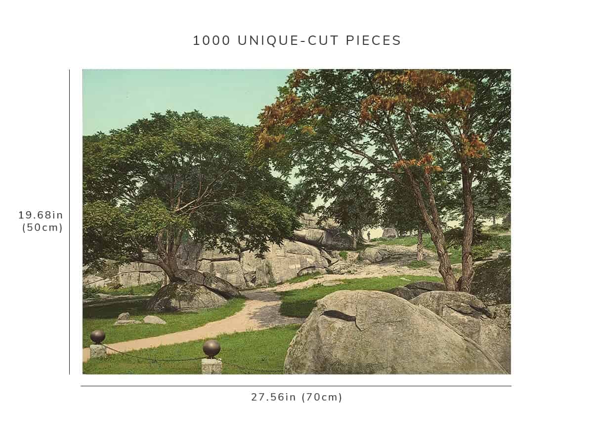 Rompecabezas de 1000 piezas 1903 | Entrada a Devil's Den | - Imagen 9