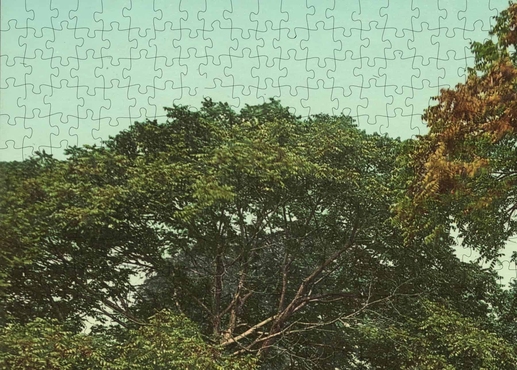 Rompecabezas de 1000 piezas 1903 | Entrada a Devil's Den | - Imagen 5