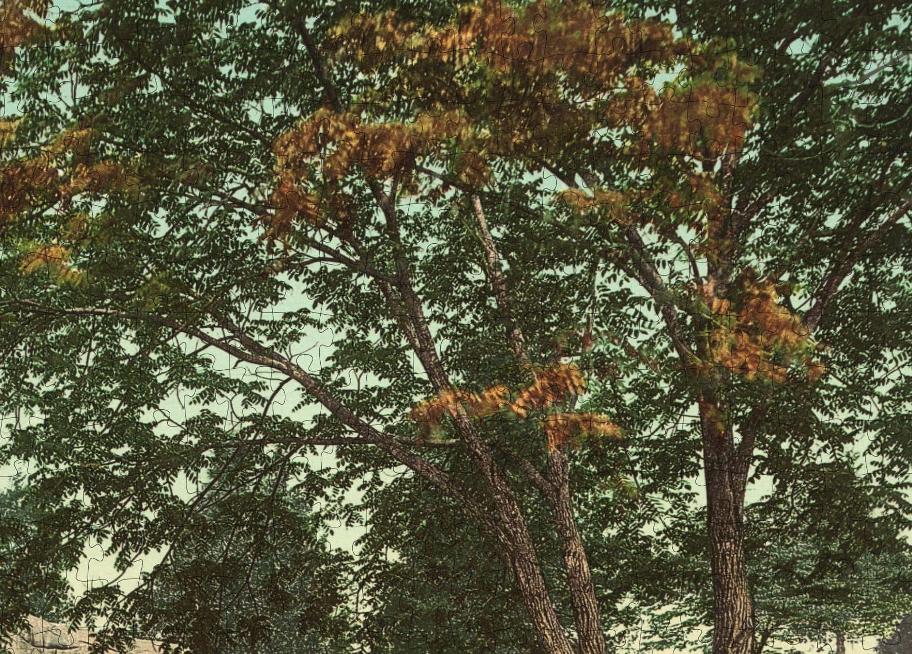 Rompecabezas de 1000 piezas 1903 | Entrada a Devil's Den | - Imagen 6