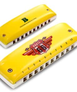 Armónica de cerámica KONGSHENG, armónica diatónica de 10