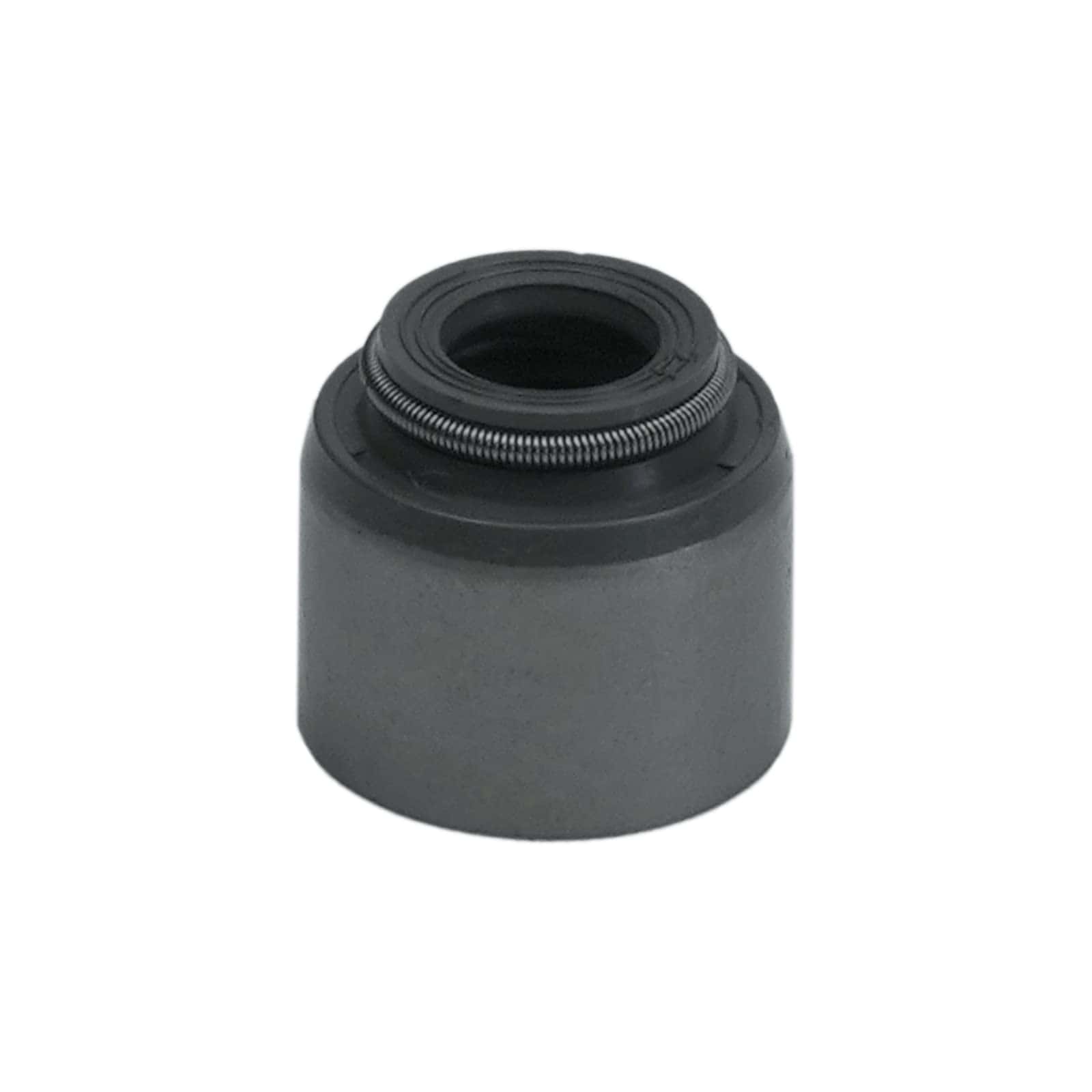 Kit de Resortes Dobles de 660" Compatible con LS1 LS2 LS3 - Imagen 6