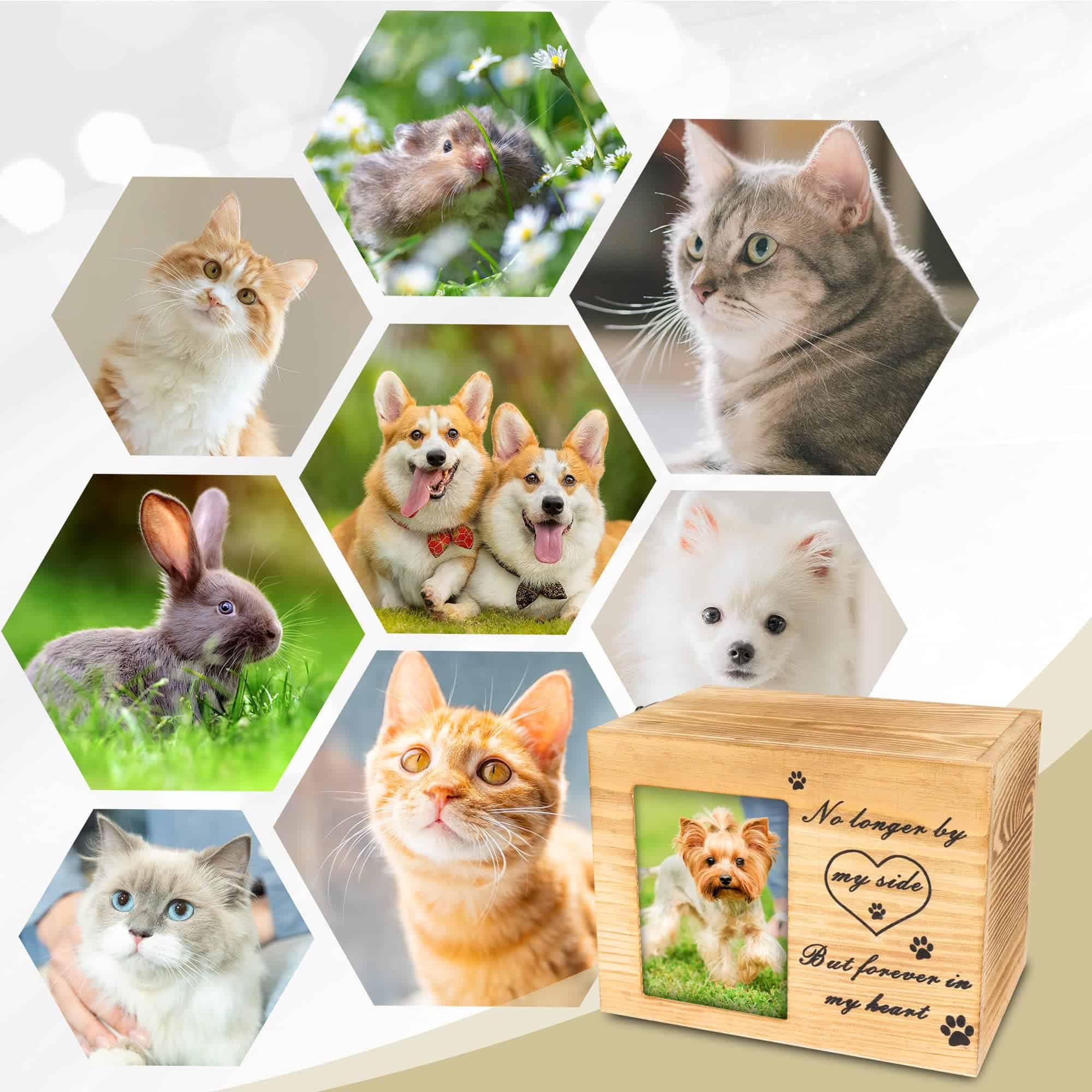 ABLEELBA Urna para Mascotas sin Salmo Bíblico en Parte - Imagen 7