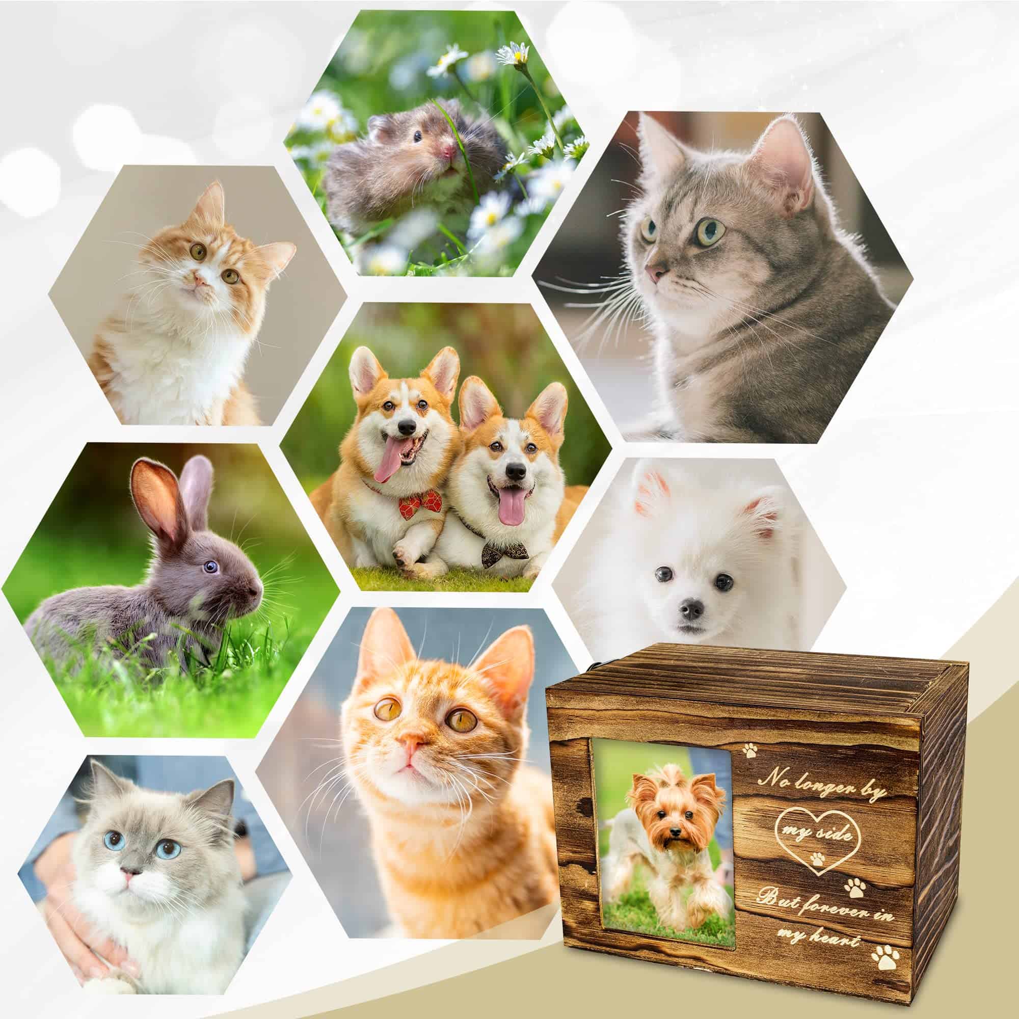 ABLEELBA Urna para Mascotas Grabada con Salmo Bíblico en la - Imagen 7