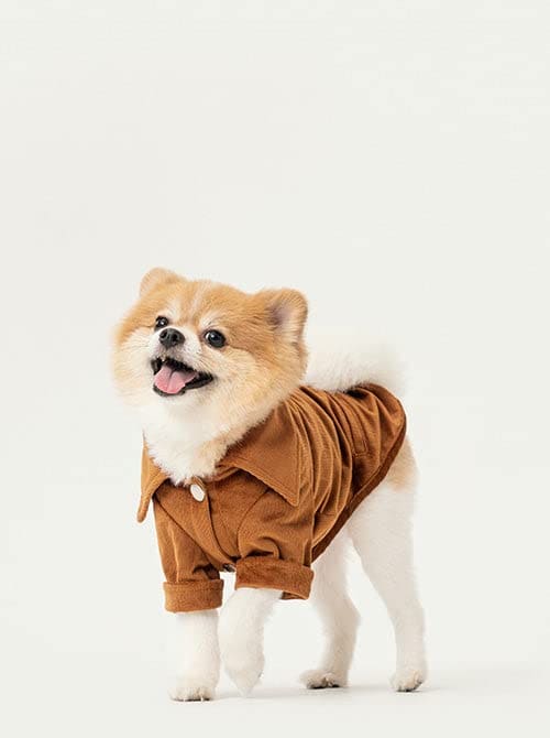 Camiseta PEHOM Stainway para Mascotas, Talla Mediana,