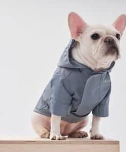 PEHOM Tribeca Chubasquero Ajustable para Perros Mascota,